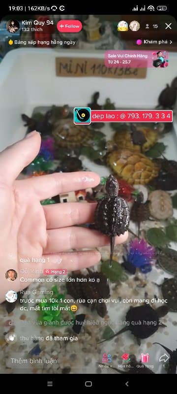 PicaBay