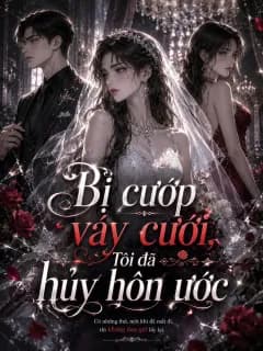 Bị cướp váy cưới, Tôi đã hủy hôn ước