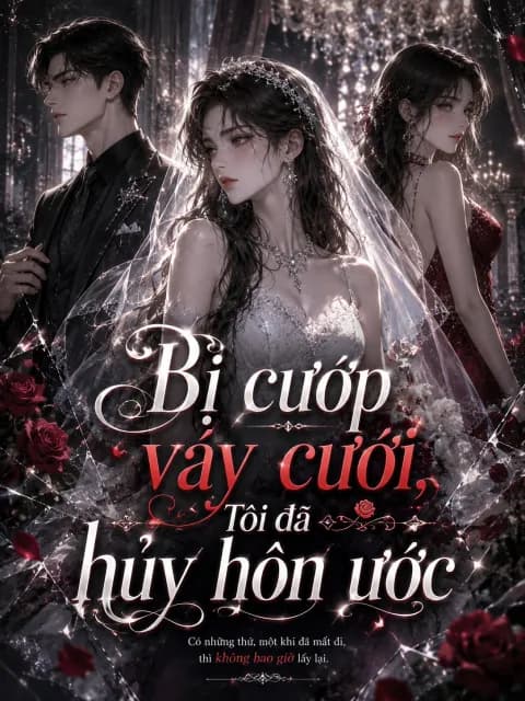 Bị cướp váy cưới, Tôi đã hủy hôn ước
