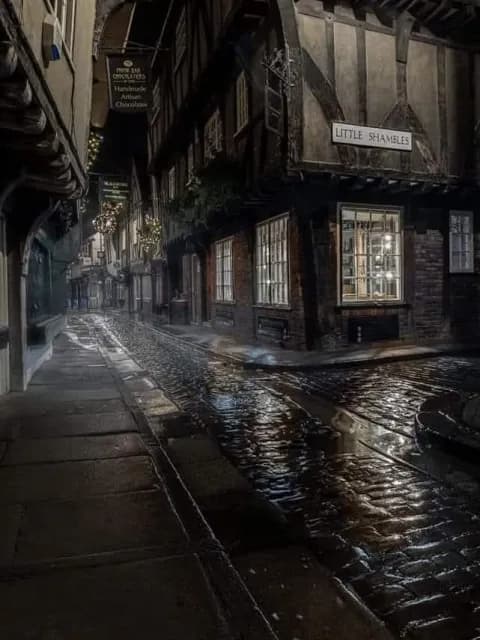 Hogwarts: Xà Mang Cánh