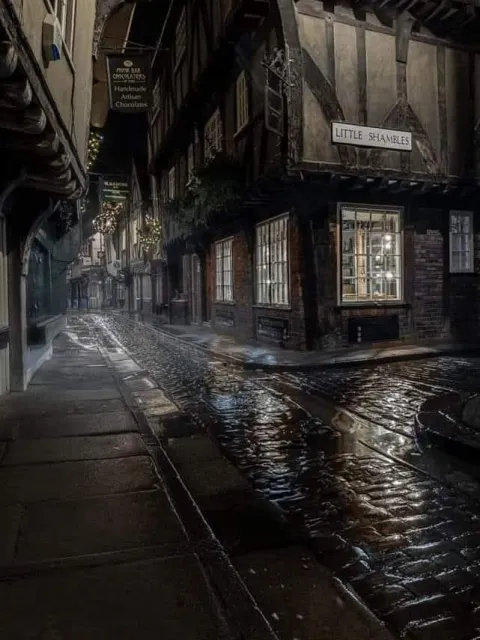 Hogwarts: Xà Mang Cánh